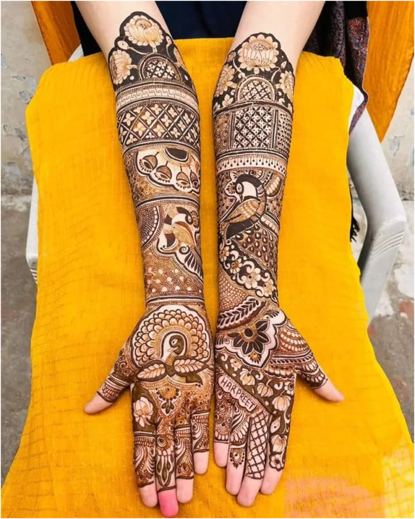 Best Bridal Mehandi Artist in Chandigarh